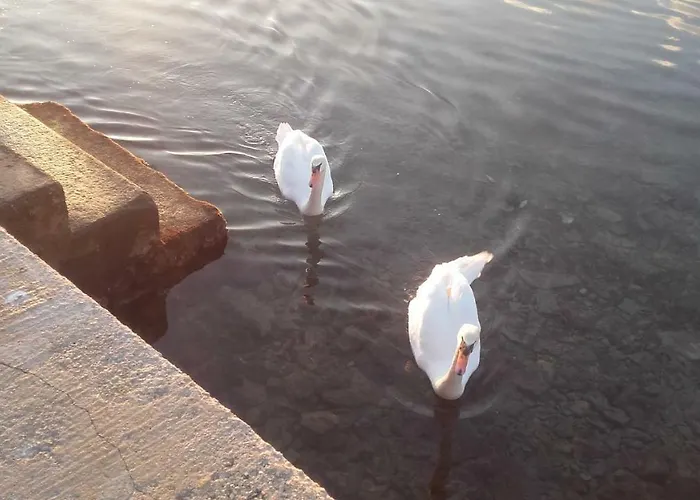 Appartement Martinac *